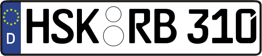 HSK-RB310