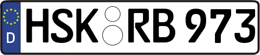 HSK-RB973