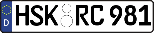 HSK-RC981