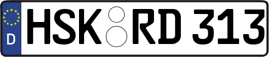 HSK-RD313