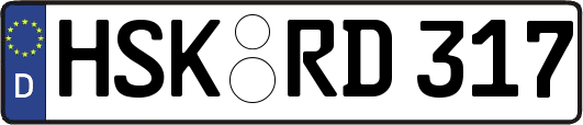 HSK-RD317