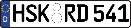HSK-RD541