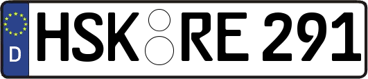 HSK-RE291