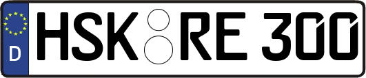 HSK-RE300