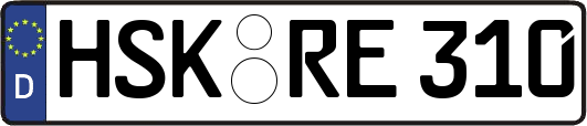 HSK-RE310