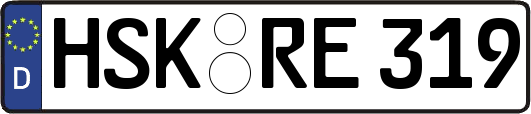 HSK-RE319