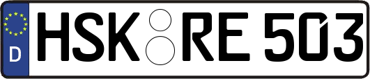 HSK-RE503