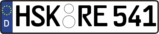 HSK-RE541