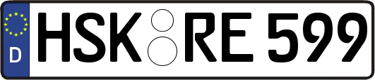 HSK-RE599
