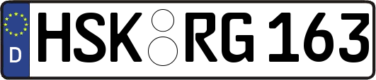 HSK-RG163