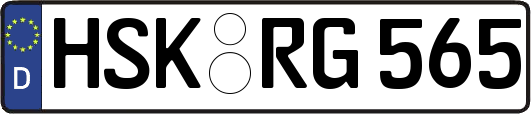 HSK-RG565