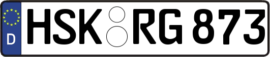 HSK-RG873