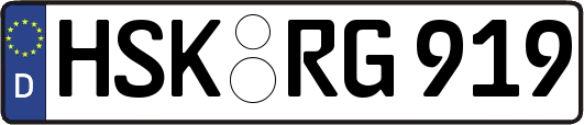 HSK-RG919
