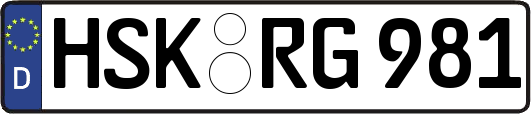 HSK-RG981