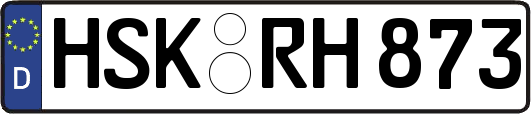 HSK-RH873