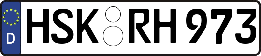 HSK-RH973