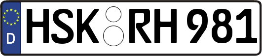 HSK-RH981