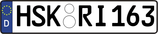 HSK-RI163