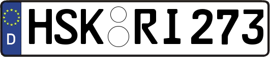 HSK-RI273