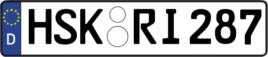 HSK-RI287