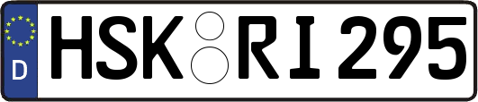 HSK-RI295