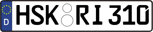 HSK-RI310