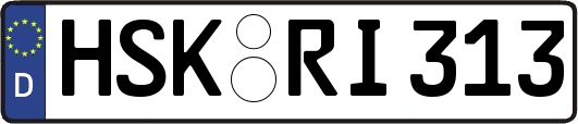 HSK-RI313