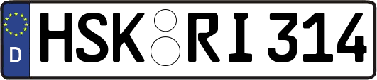 HSK-RI314