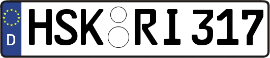 HSK-RI317