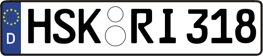 HSK-RI318