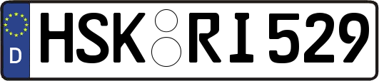 HSK-RI529