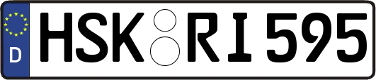 HSK-RI595