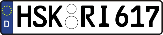 HSK-RI617
