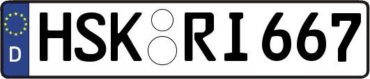 HSK-RI667