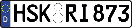 HSK-RI873