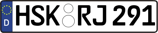 HSK-RJ291