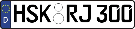 HSK-RJ300