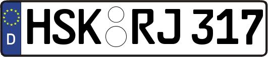 HSK-RJ317