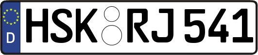 HSK-RJ541