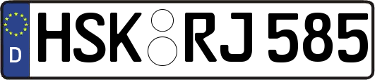 HSK-RJ585