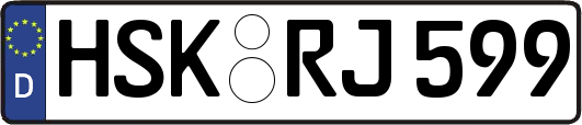 HSK-RJ599