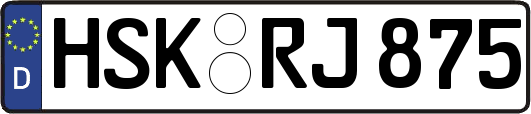 HSK-RJ875