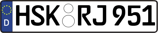 HSK-RJ951