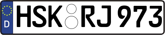 HSK-RJ973