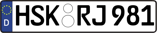 HSK-RJ981