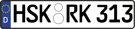HSK-RK313