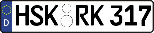 HSK-RK317