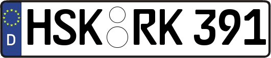HSK-RK391