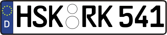 HSK-RK541
