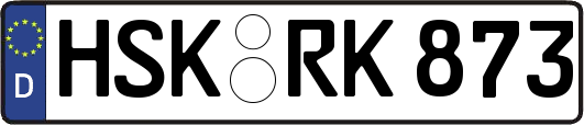 HSK-RK873